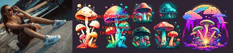 сколько стоит  Александровск  Галлюциногенные грибы MAGIC MUSHROOMS 